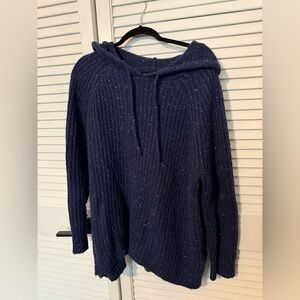 Aerie Hooded Sweater